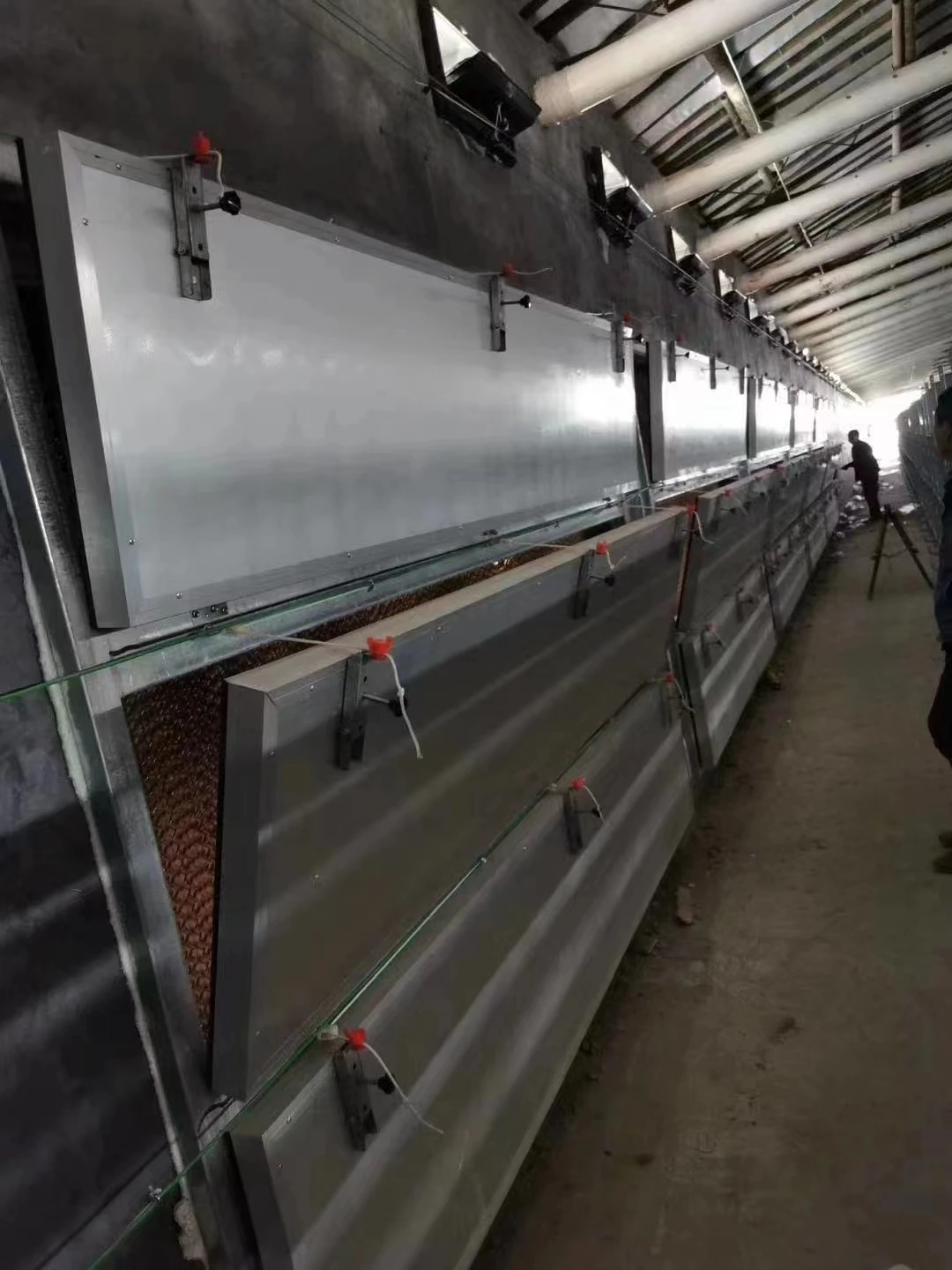 Broiler Cage H Type Broiler Chicken Cage Poultry Feeding System