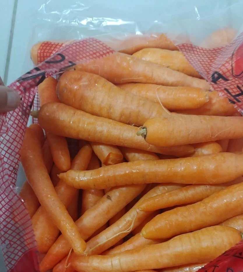 
High Quality New Crop Fresh Washed Carrots Bulk Vegetables 