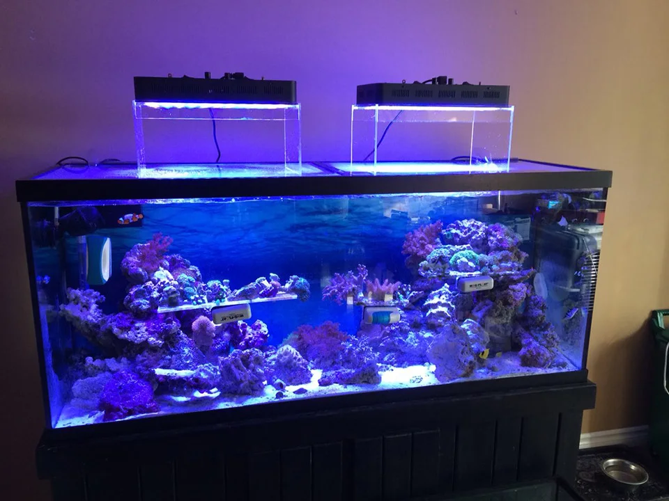 Big discount Manual Knob control 165w coral reef tank black aquarium light