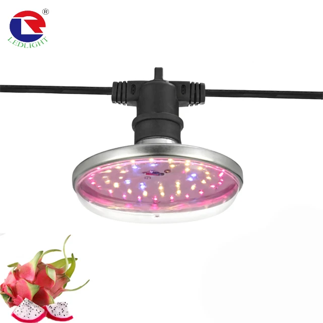 Pitaya Dragon Fruit  LED Plant Growing Lamp  Full Spectrum E27 15W  LED Grow Light waterproof outdoor greenhouse Plant Bulb