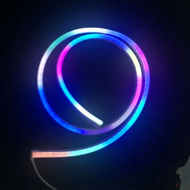 Zhongshan Factory Direct Supply  High Lumen  Remote Control 12V 24V 110V 220V RGB Led Neon Light Flex Rope