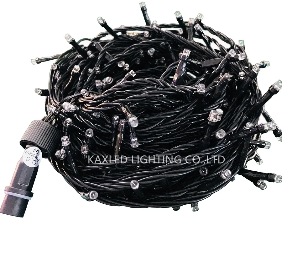 LED Christmas Holiday Light LED Fairy String Lights 24v 110v 230v PVC Garden 60 80 Smart RGB Led Strip Light Manual Button 10000