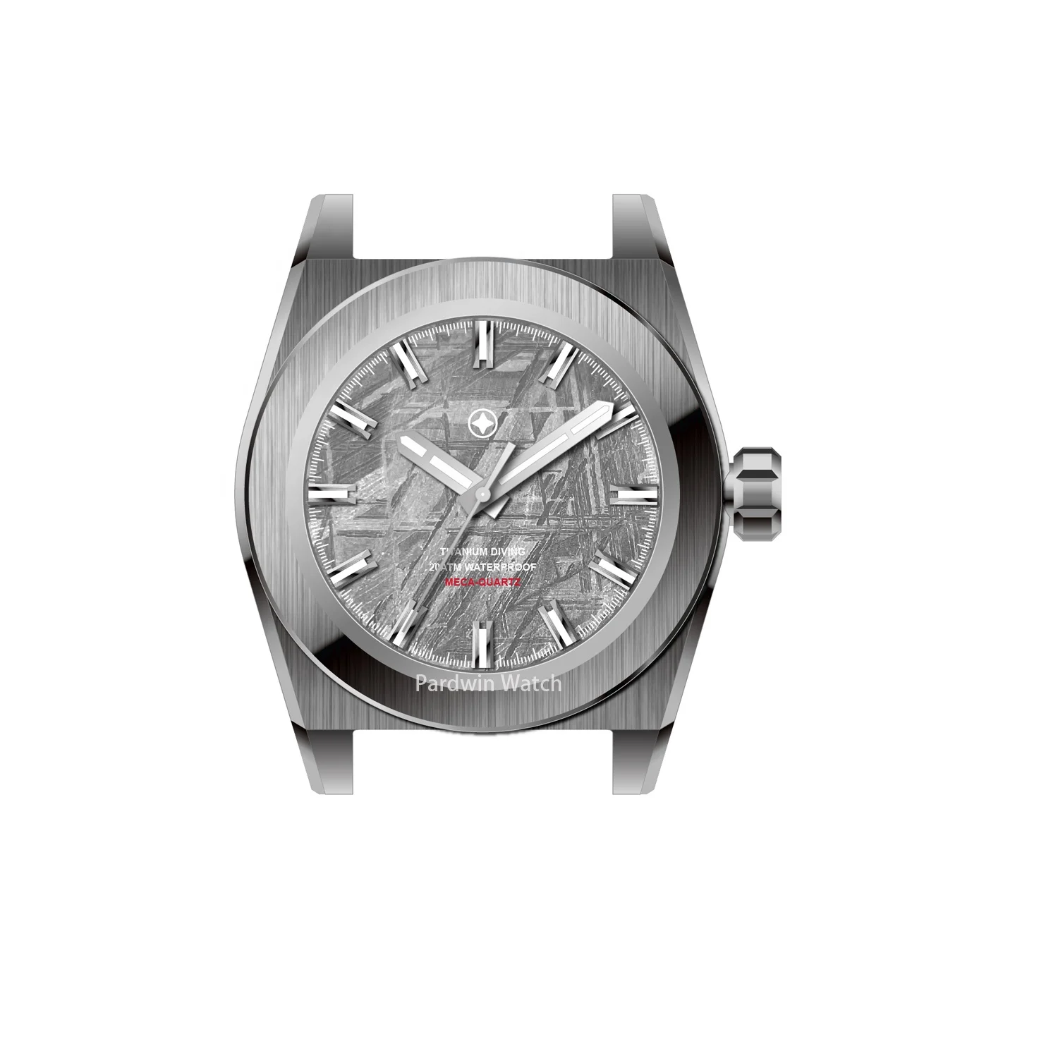 Custom Made Stainless Steel Automatic wrist watch applied Switzerland BGW9 luminous Mechanical watch  with Meterorite dial