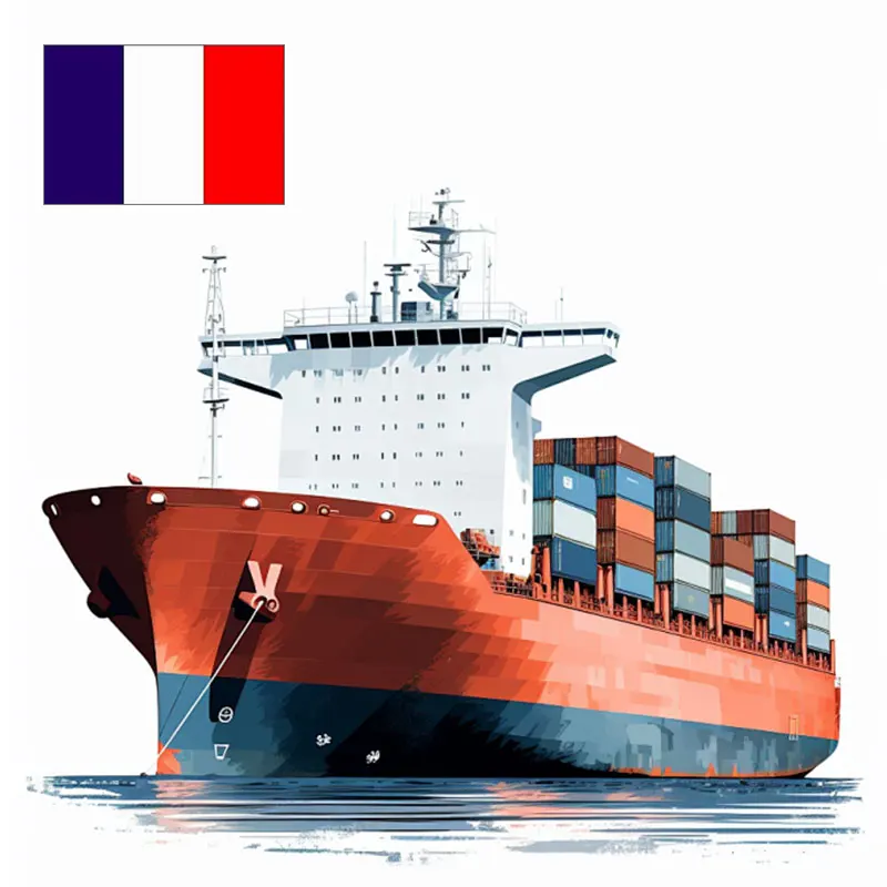 and fast ddp international freight forwarder Convenient from China to France.Shipping freight forward bu sea