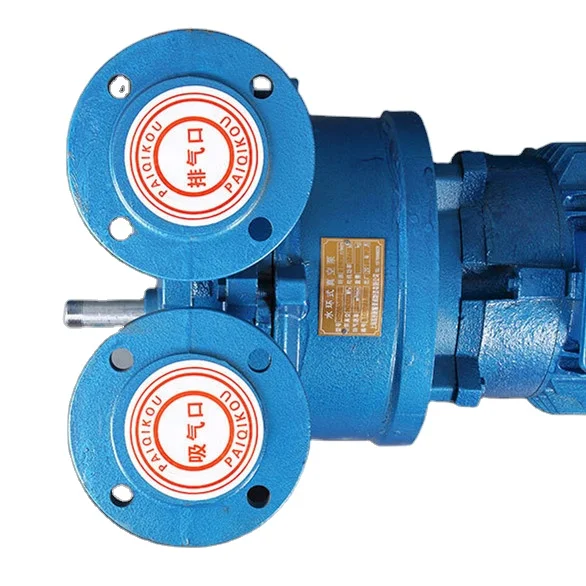 2BV 304 STAINLESS STEEL LIQUID RING VACUUM PUMP