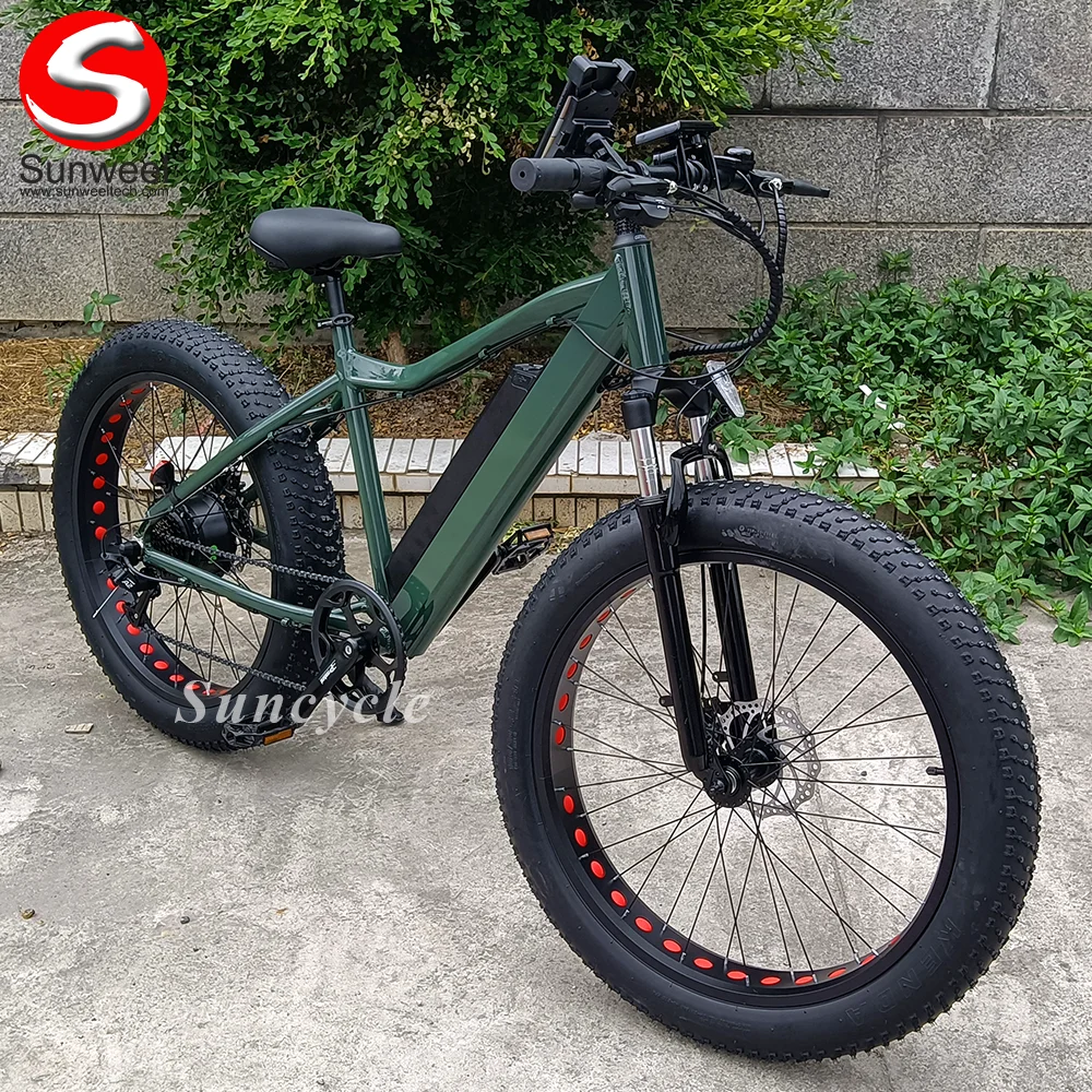 Suncycle Powerful Electric Bike 1000w Ebike Fatbike/Integrated Ebike