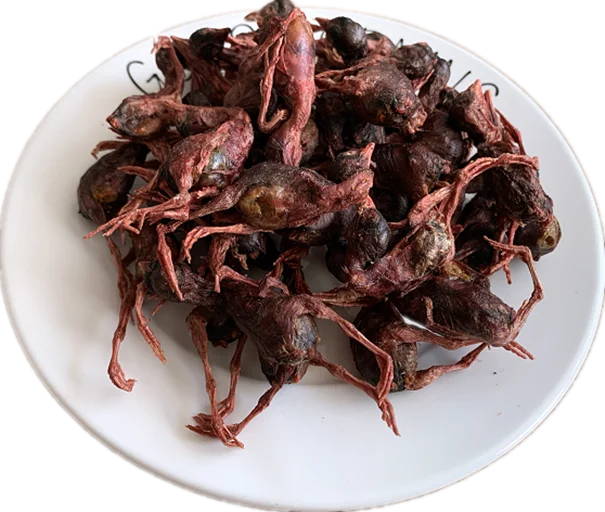 pet snacks treats quail freeze-dried pet food cat food cat food