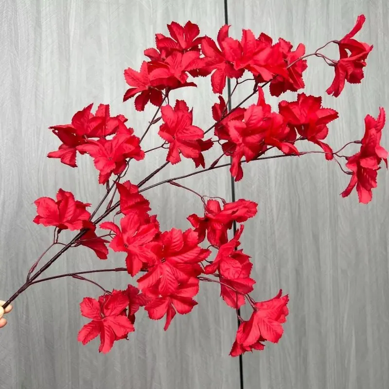 DKB Artificial High Quality Colorful Edelweiss flower Wedding Decoration Single Stem Flower For Home Event Decor Party