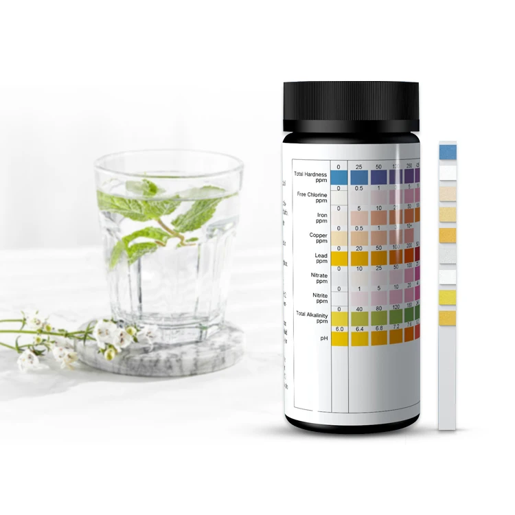 2024 hot sell 9 in 1 Drinking Water Test Kit pH Hardness Test Strips Chlorine Iron Copper Nitrate Nitrite for Home Use