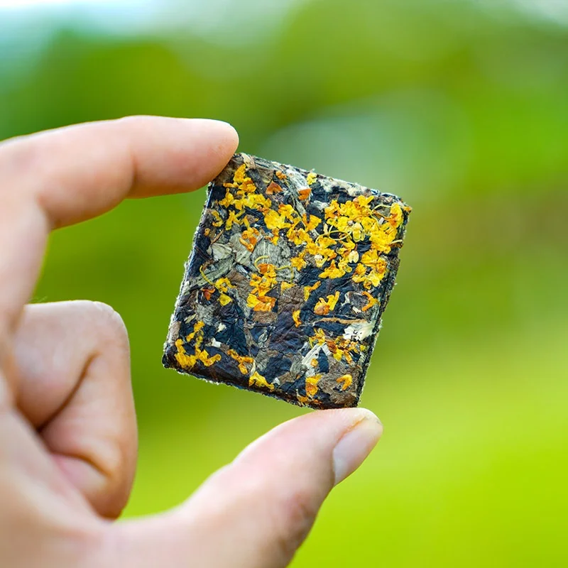 New style organic multi-flavored Yunnan black tea Pu-erh mini tea brick biscuit tea cake