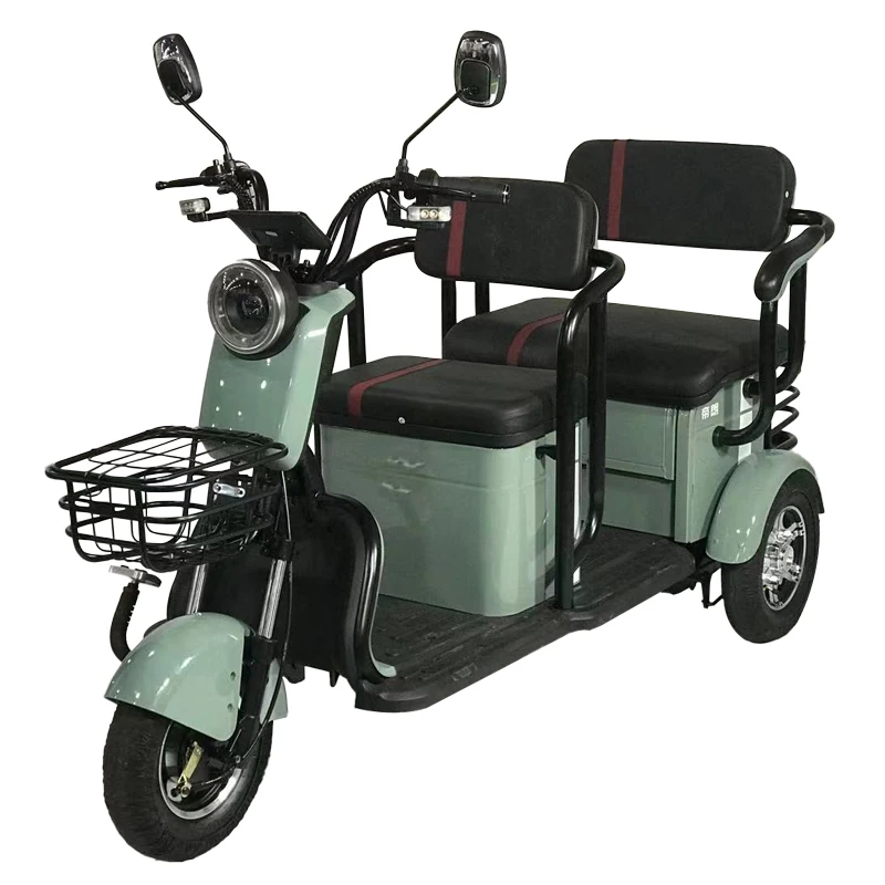 2021 new model DiLang Leisure adult tricycle three-wheeler a high-grade electric tricycle with folding passenger and freight fun
