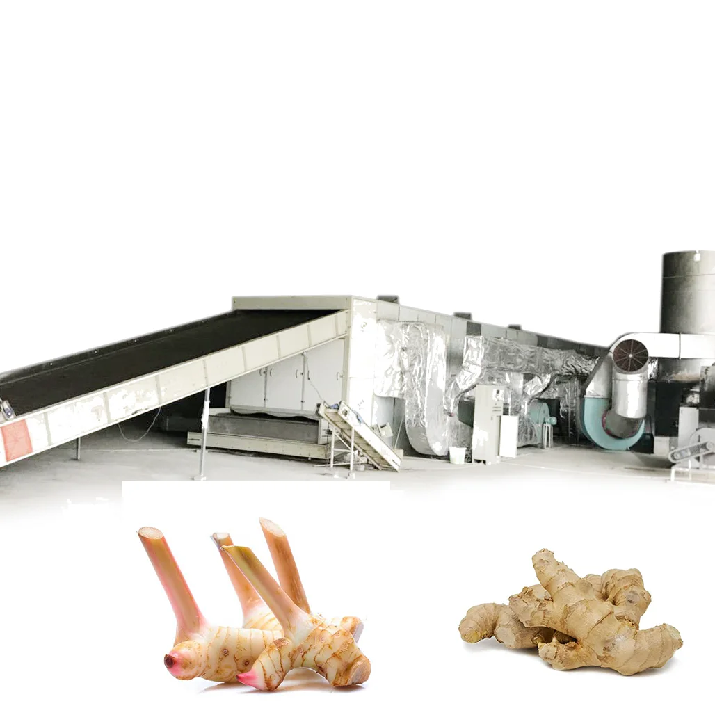 1 ton/h  commercial mesh belt  ginger  drying oven machine with heat pump for industrial vegetable drying oven