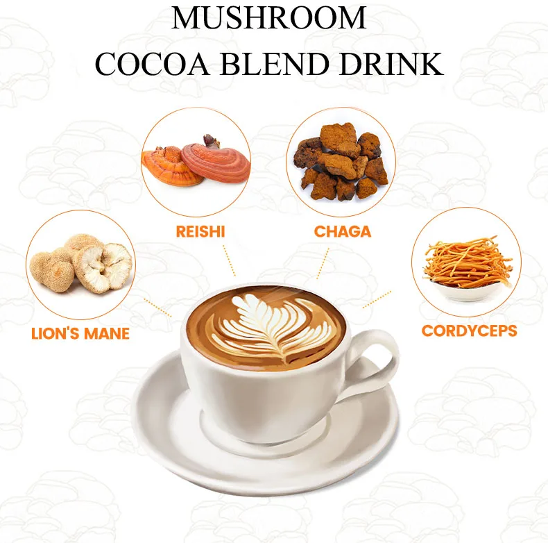 Private Label/ OEM Premium Mushroom Cocoa Drink Cordyceps Chaga Reishi Lions Mane Ashwaganda Maca Mushroom Mix Cocoa Beverage