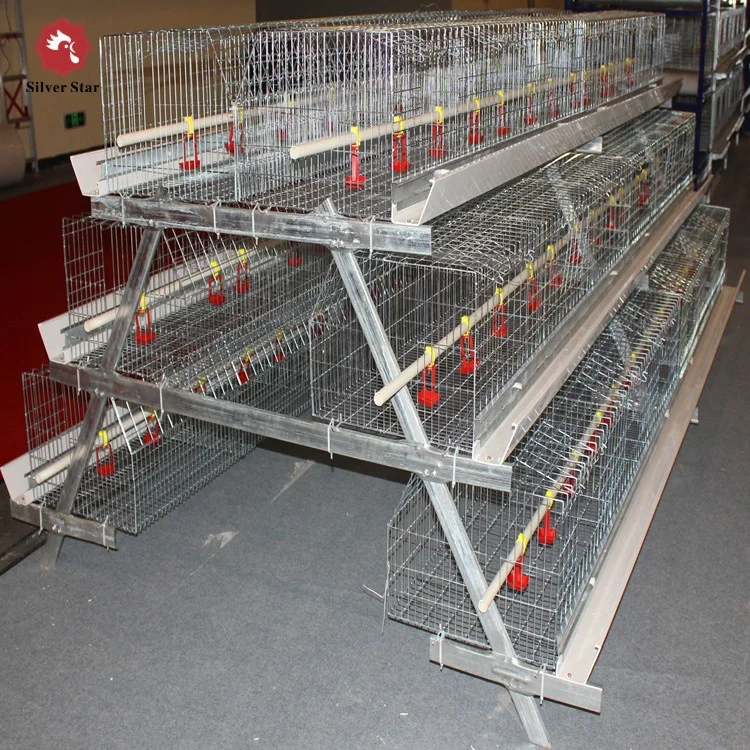 Automatic Pullet Chick Battery Cage for Day Old Layer Chick Cage
