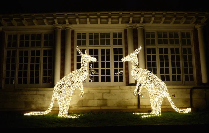 led lighted kangaroo decoration