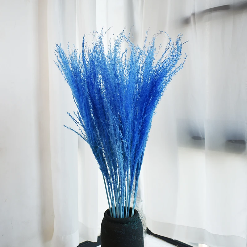 Natural Pampas Grass Dried Flowers Wedding Decoration Small Pampa Grass Natural Pampas Grass  decorative for outdoor decor