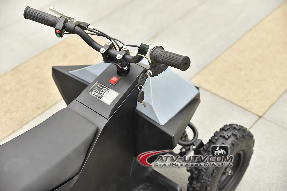 quad bike four wheeler