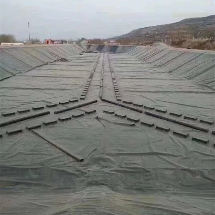  Китайский производитель HDPE подкладка для пруда геомембрана большого контроль просачивания