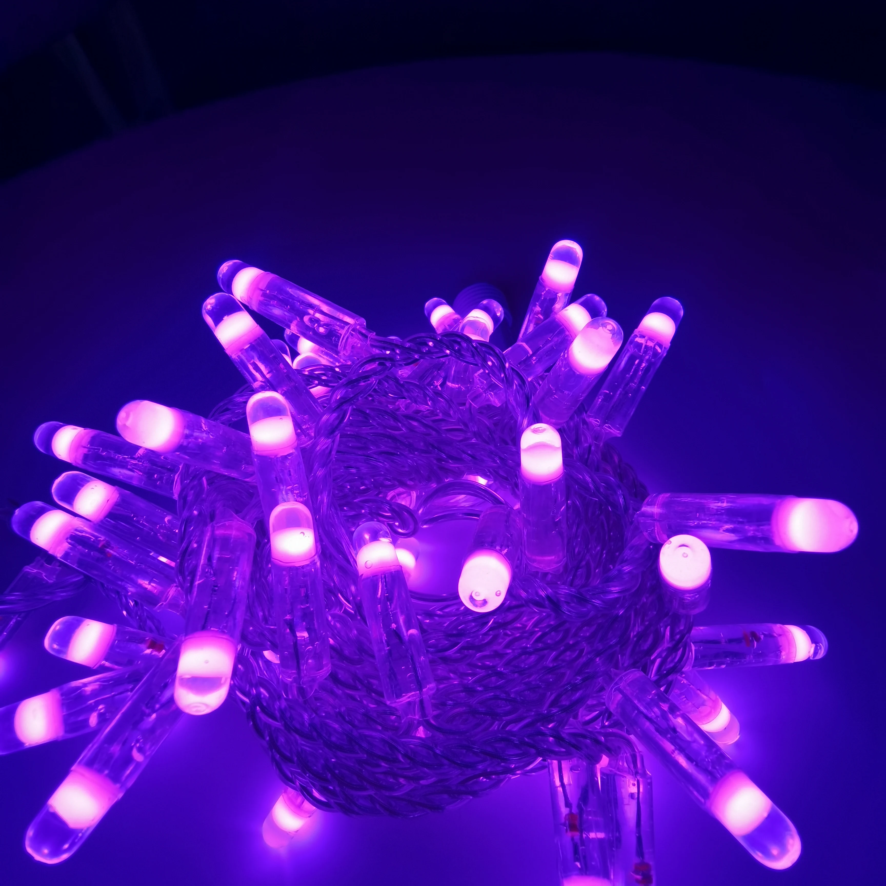 Competitive Price Outdoor IP65 Waterproof Colorful Decoration LED Christmas Light