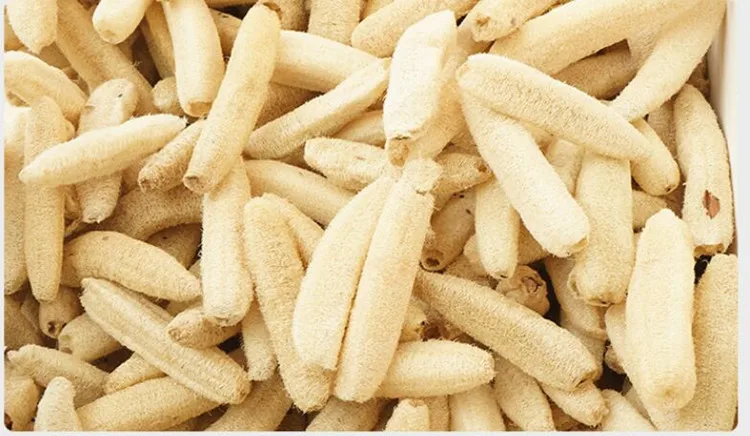 
100% Natural Body Detergent Polisher Loofah Exfoliating Shower Sponge bath loofah sponge 