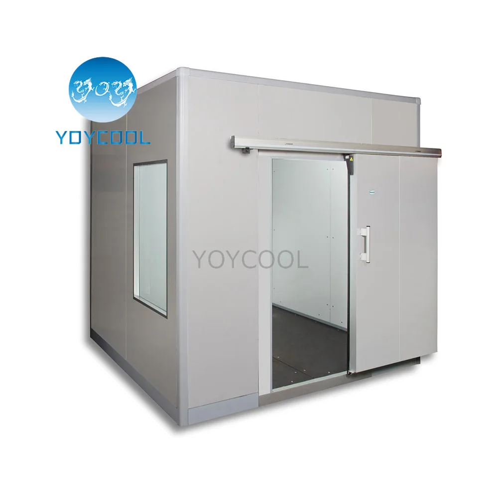 Industrial walk in freezer vegetable chiller cooler cold room