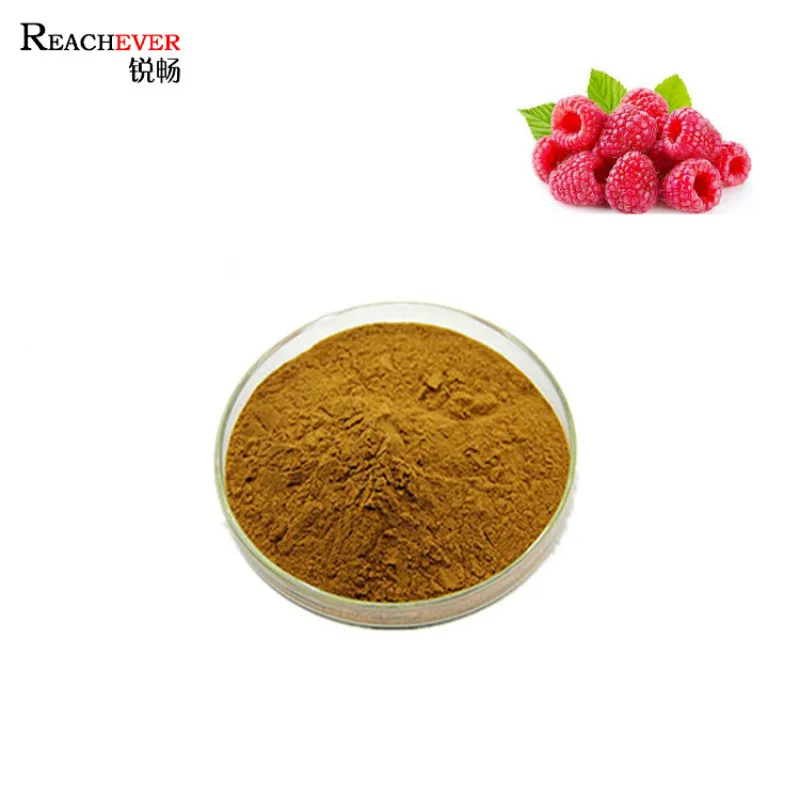 
Natural Ellagic Acid Ketone Raspberry Extract Powder Fructus Rubi P.E. 