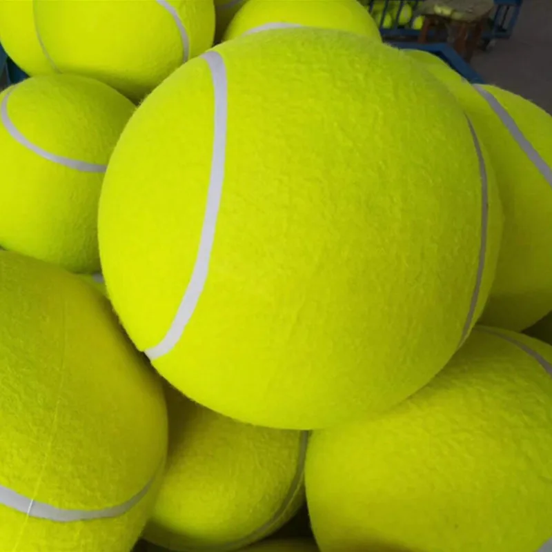 9.5 inch 24cm inflatable customized holiday event gifts name printed signature dog jumbo tennis ball