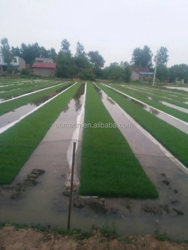 ALD-4B rice seeder  45.jpg