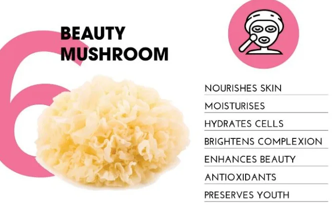 Organic Certificate Tremella fuciformis (snow fungus) extract/Tremella Extract Powder/Tremella Powder