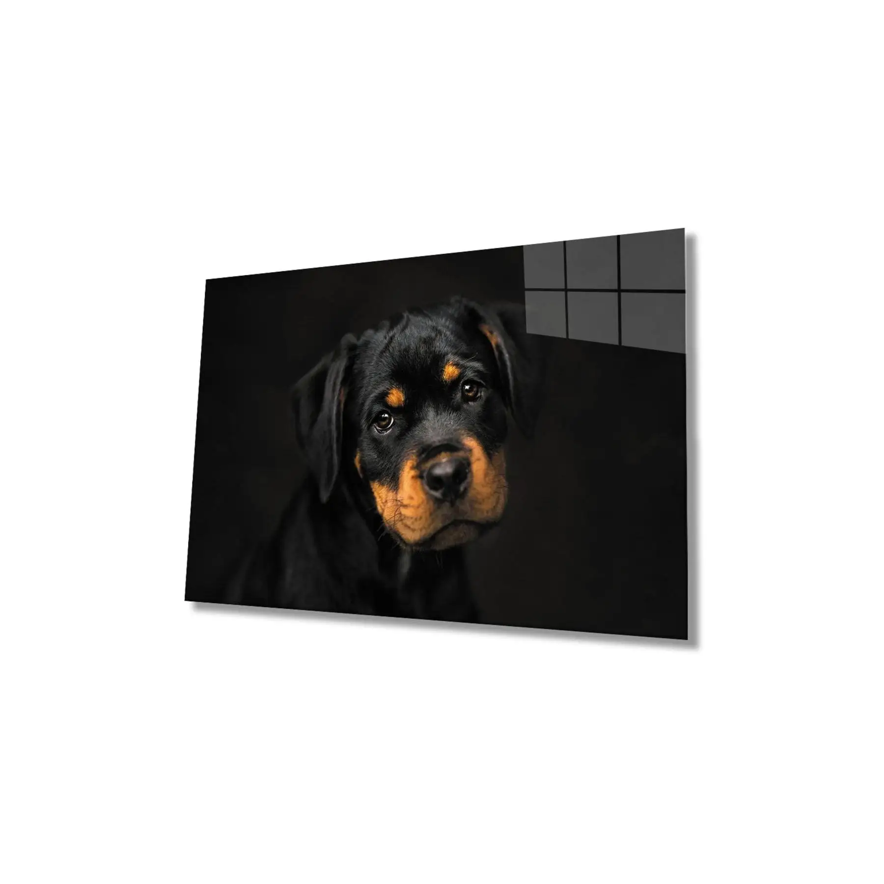 Flash домашняя собака стеклянный стол собачий 36x23 красочный