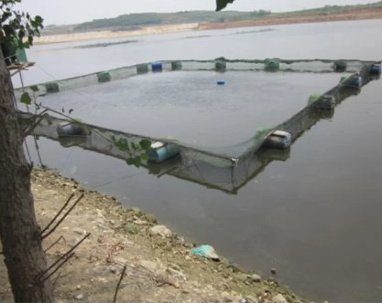 PE Anti-Storm Trout Fish Aquaculture Circular-shape Floating HDPE Fish-farming Cages in Deep Sea