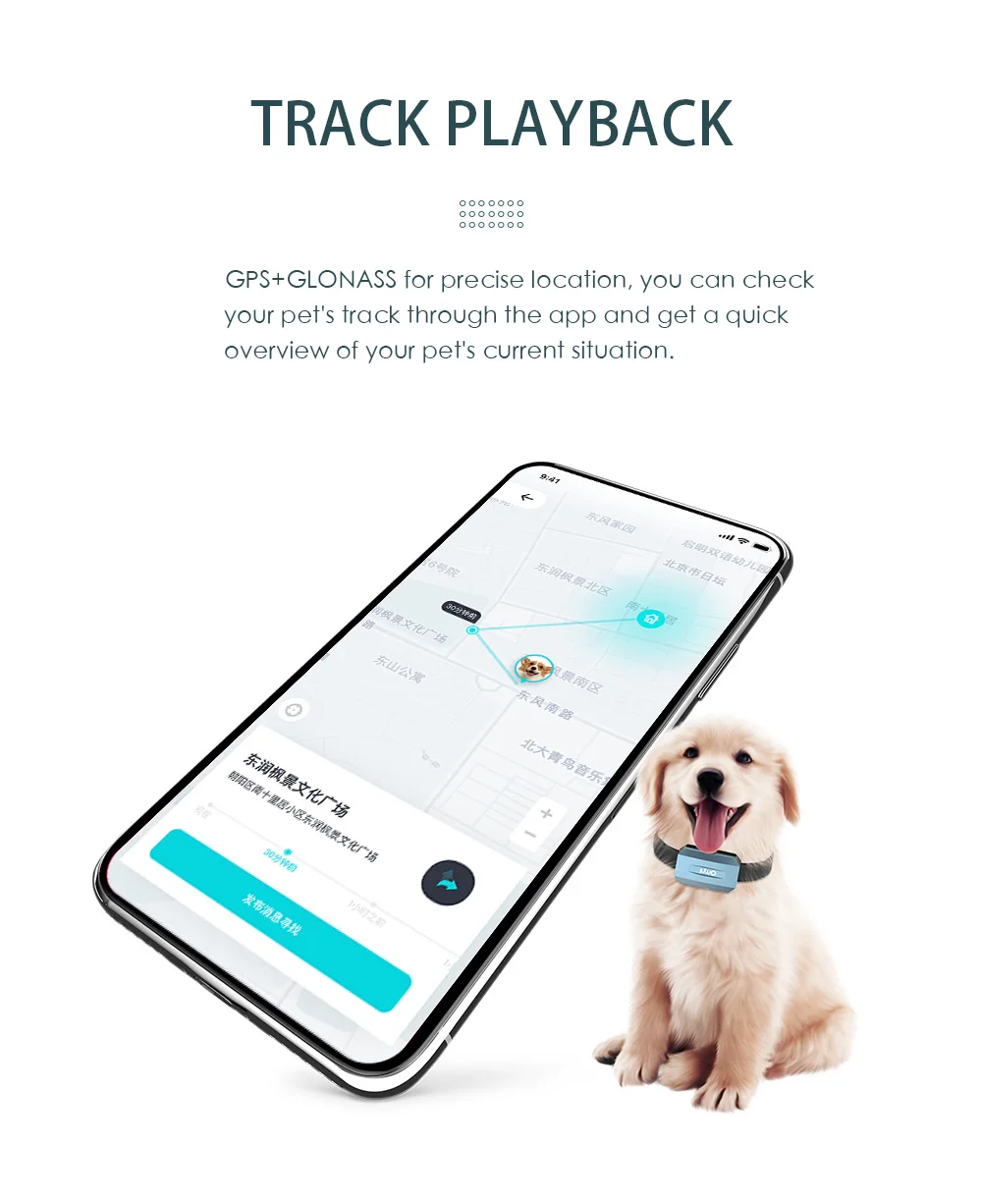 Huaxin 4G GPS Waterpoof 4g full net com Anti Theft Pet Smart Collar Gps Tracker GPS Pet Tracker With App for dog cat