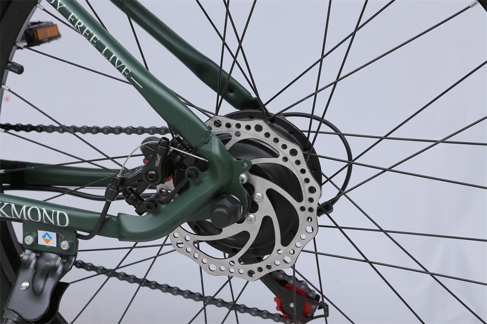 Popular electric bikes tianjin 250w bicycle electric bike mountain 36v mountain bike with electric for US UK