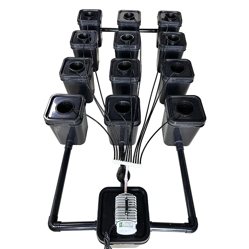 12+1 System 5 Gallon RDWC Hydroponic Growing Systems Kits For Tomato