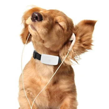 TK911Pet Collar Dog GPS Tracker Remote Calls Chip