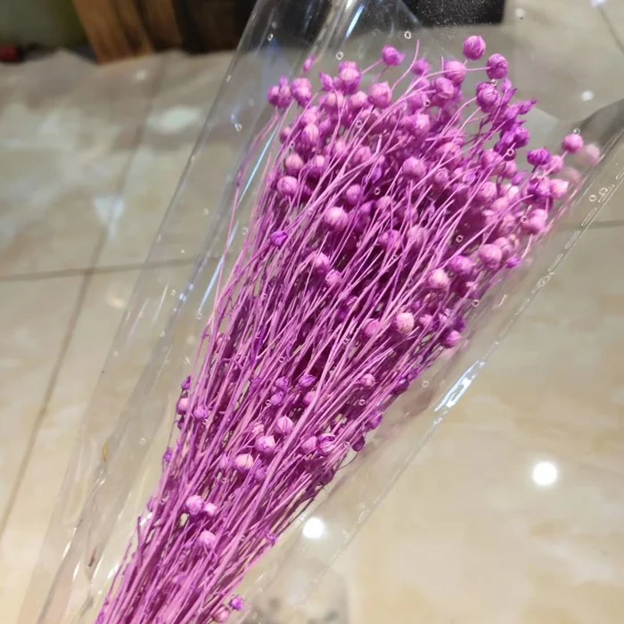 DIY Flower Arrangements Wedding Home Flower Decor Real Natural Dried Preserved Flax  Beans jequirity beans flowers