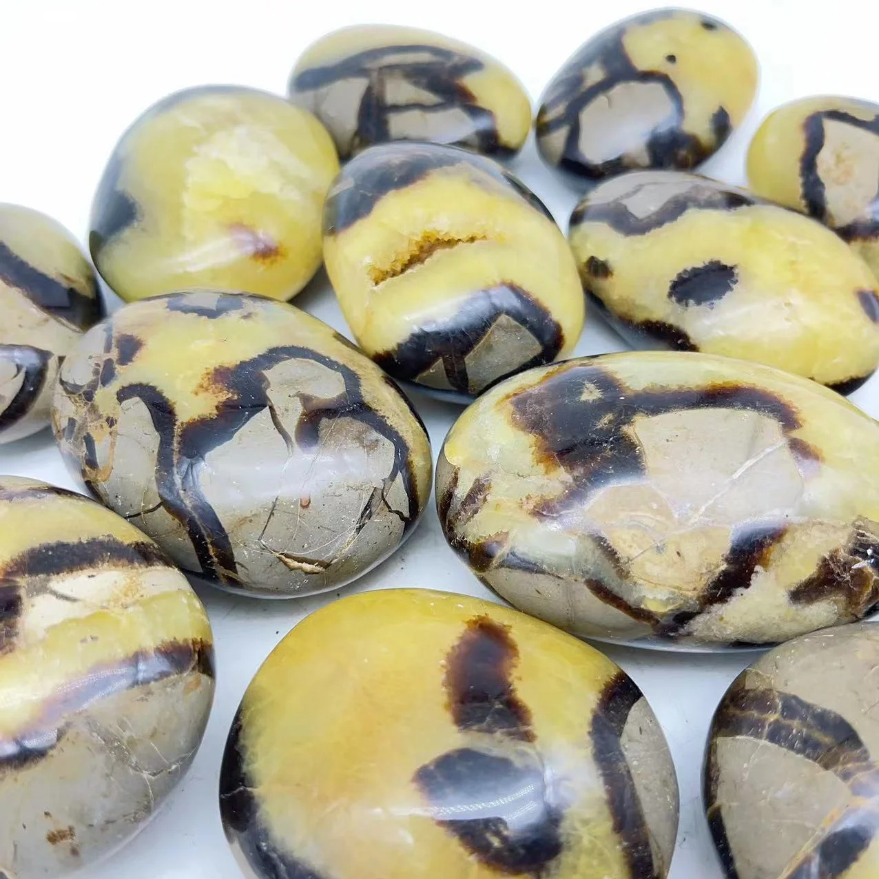 Wholesale Natural crystal septarium palm stone crystal quartz gemstone palm for decoration and artwork gift