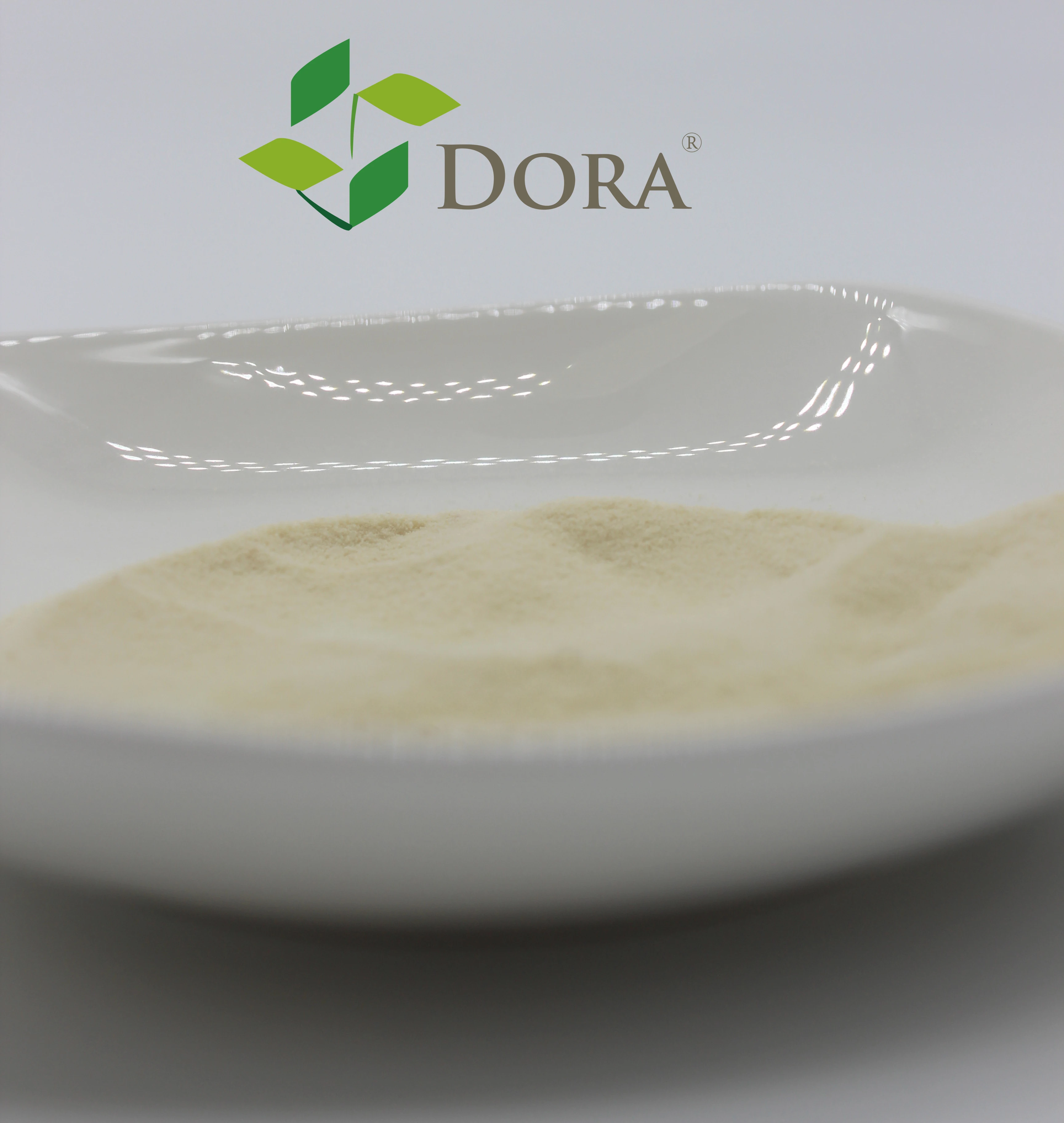 Dora Aminopoly80 Boosts Protein Synthesis with Enzyme-Hydrolyzed Amino Acids