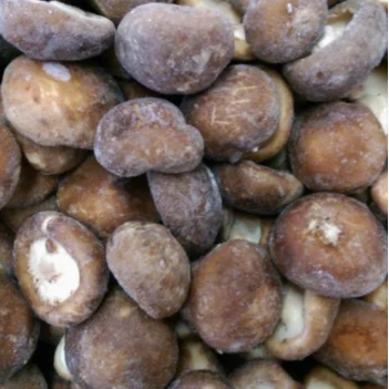 Export Price IQF Frozen Shiitake Mushroom