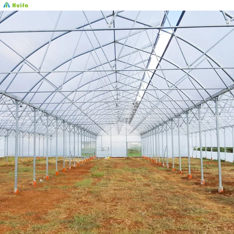 40x40m Agriculture Green House Sawtooth Poly Tunnel Hothouse Tropical Greenhouse Serre Agricole