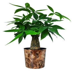 9L big capacity high-end logo custom food packaging bucket exquisite cookie box