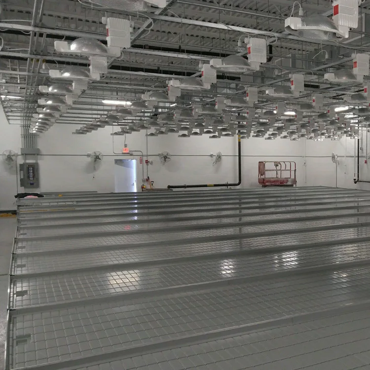 Large Commercial Hydroponic Farm System Ebb and Flow Rolling Table Top Benches Plastic Material for Agriculture Use