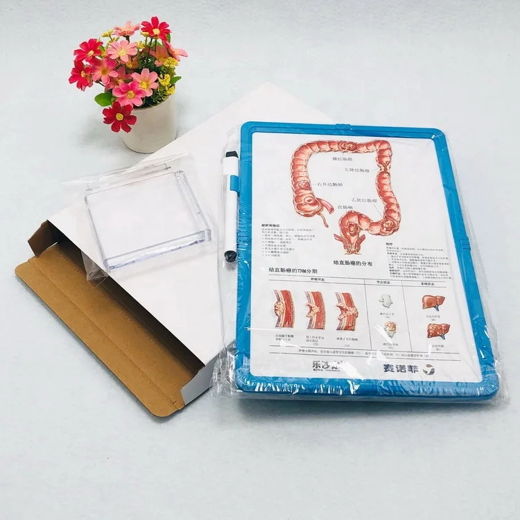 Erasable handwritten medical whiteboard