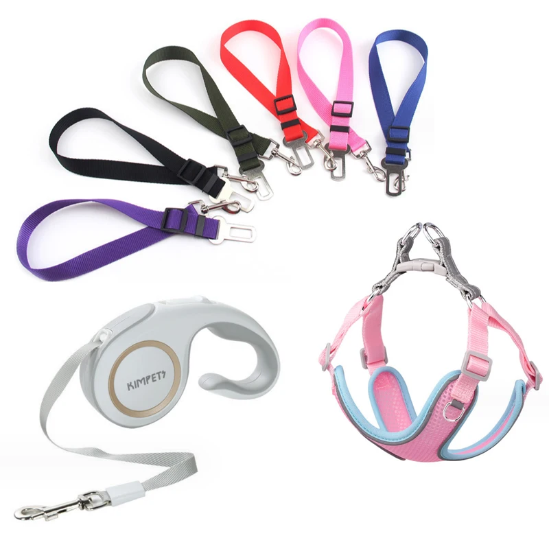 Pu Leather Soft Pet Harness Collar Service Dog, Puppy Leash Set Toys Cloths Led Light Glow In The Dark/