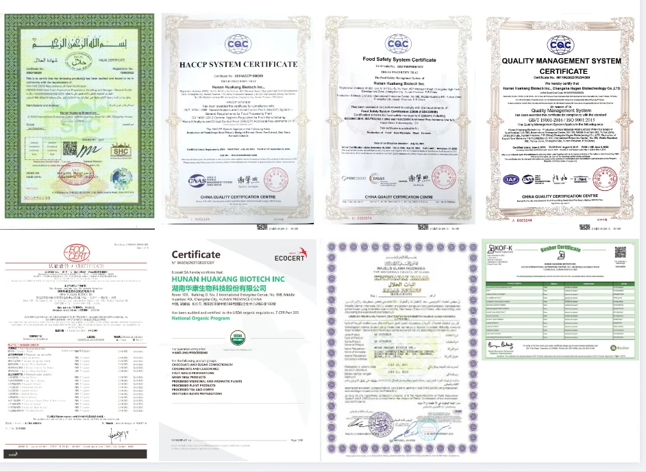 Certification.png