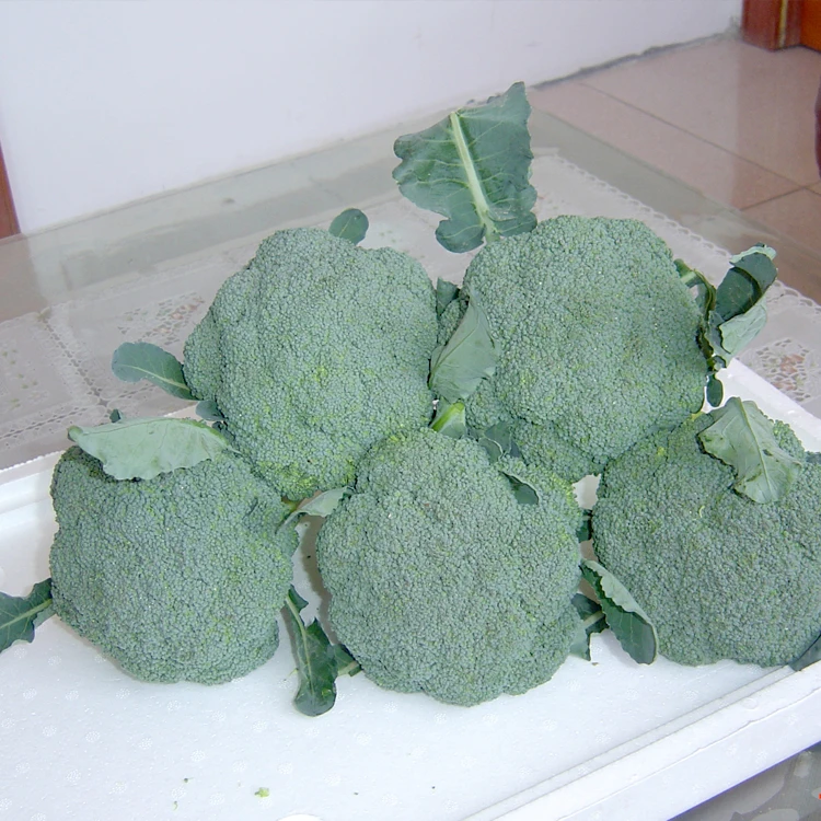 
New crop high quality bulk fresh vegetable green chinese broccoli 