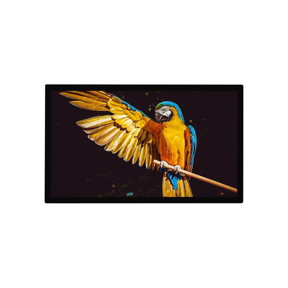 43 дюймов Amazon горячие продажи панель ЖК-дисплея рекламы Digital Signage монитор экран дисплея