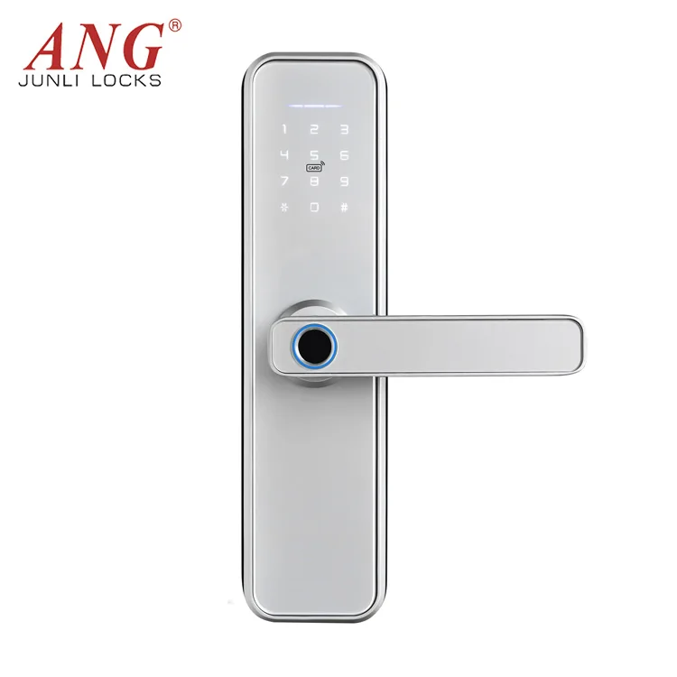 Высокая безопасность Противоугонная Tuya WiFi приложение умный дверной замок биометрический отпечаток пальца дверная ручка цифровой замок без ключа