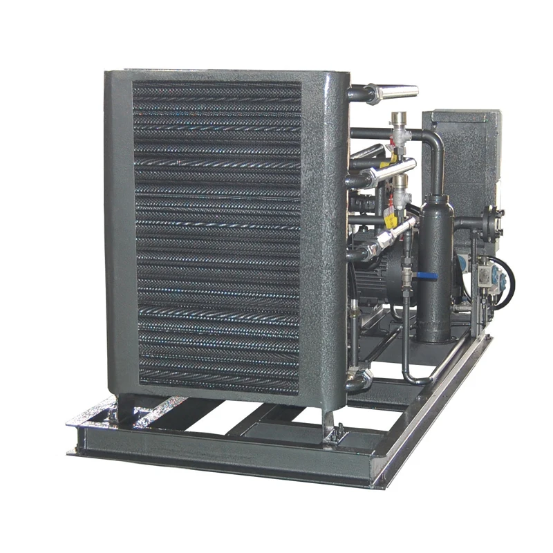 Manufacturer Custom Gas Compressor Biogas to Cng Convator Machine Biogas Digester Compression for Biogas Transmission