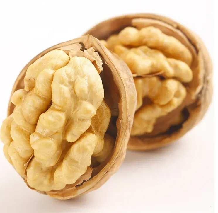 Wholesale Large Size High Quality and Cheap Walnut and Walnut kernels from Xinjiang
